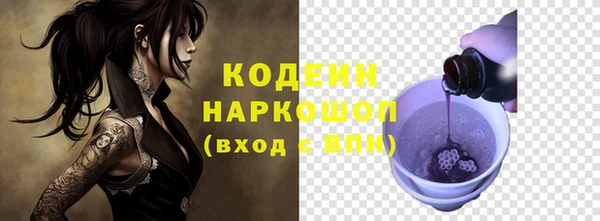 ECSTASY Няндома