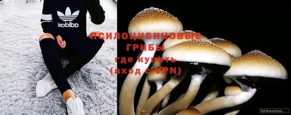 ECSTASY Няндома