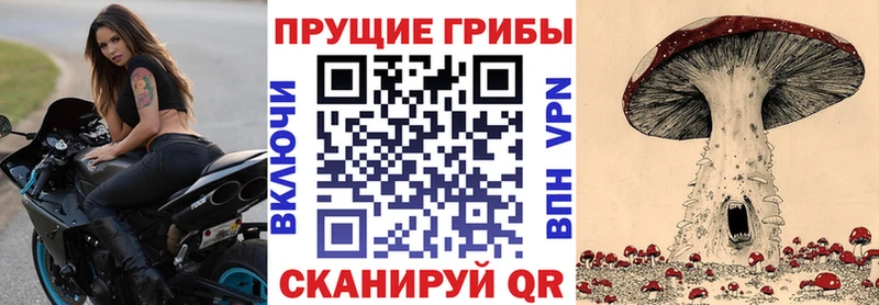 Галлюциногенные грибы GOLDEN TEACHER  Краснообск 